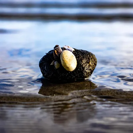 Am Leuchtturm Apartamento