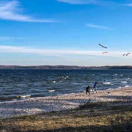 Am Leuchtturm * Schausende