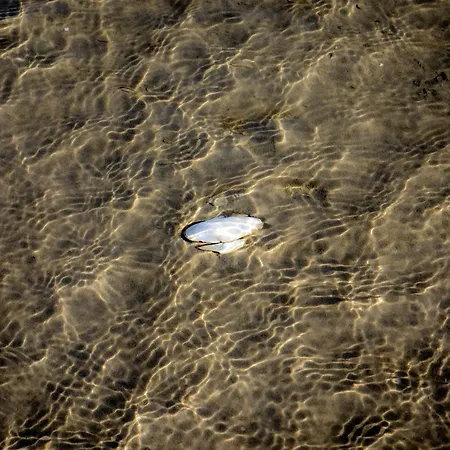 Apartamento Am Leuchtturm